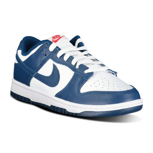 Nike Dunk Low Valerian Blue
