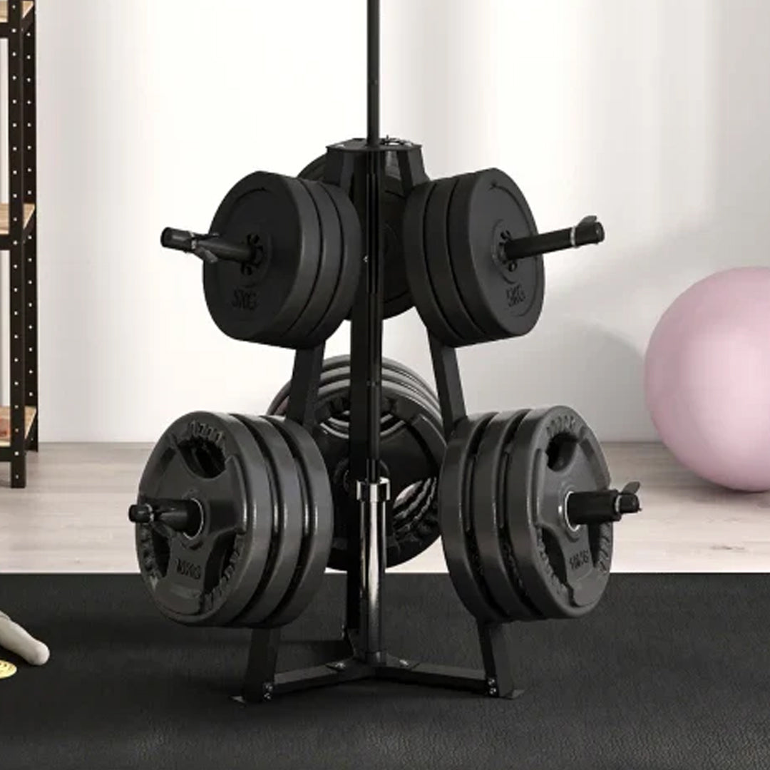 Weight Plates Storage Rack