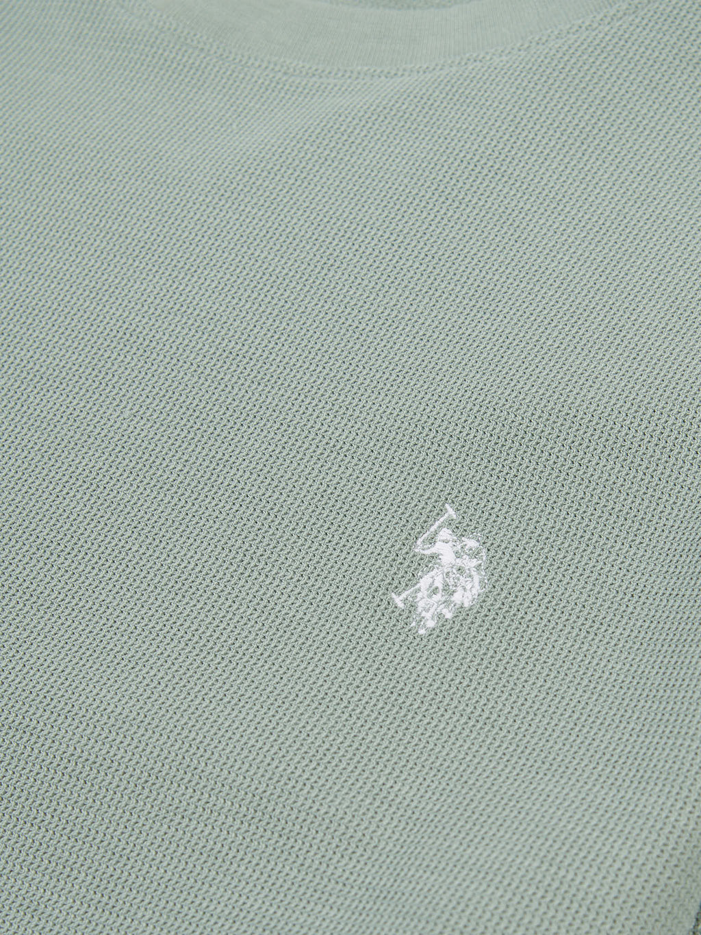 Mens Texture Crew Neck Sweatshirt in Chinois Green