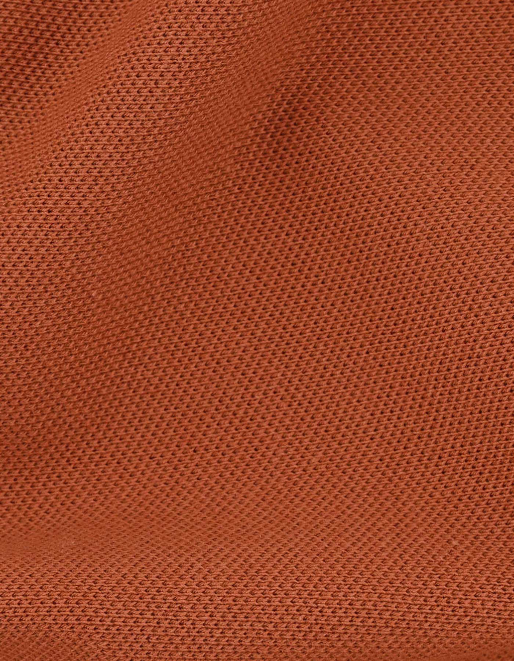 Rust Regular Fit Cotton Polo Shirt